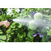 Spray Pistol