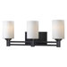 Slender Three Light Bath Vanity in Oil Rubbed Bronze
