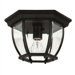 Entryway  Flush Mount in Black
