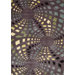 Parallels Lavender Rug