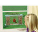 Songbird One Way Mirror Feeder