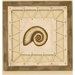 Nautical Roping Snail Wall Decor in Weathered