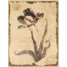Graceful Floral Wall Art - 15.75" x 11.75"