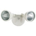 Two Headed Flood Light
