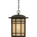 13" Hillcrest Outdoor Hanging Lantern in Imperial Bronze