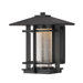 Destin  Outdoor Wall Lantern