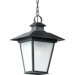 Dover One Light Outdoor Hanging Lantern