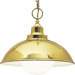 1 Light Pendant