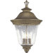 Savannah Hanging Lantern in Burnished Chestnut