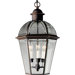 Antique Bronze Danbury Chain Hung Incandescent Outdoor Lantern