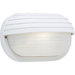 Polycarbonate Oval Incandescent Outdoor Lantern with Hood