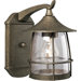  Wire Frame Outdoor Wall Lantern in Burnished Chestnut