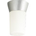 Hard-Nox Impact Resistant Flush Mount Outdoor Lantern