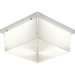 Hard-Nox Fluorescent Outdoor Clear Flush Mount