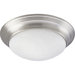 Melon Energy Star 2 Light Flush Mount
