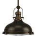 Fresnel Lens 1 Light Pendant