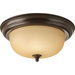 2 Light Ceiling Light