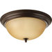 3 Light Ceiling Light