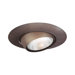 6" Recessed Eyeball Trim in Bronze
