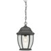 Covington 1x100W Outdoor Hanging Lantern in Black