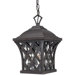 Lattice  Outdoor Hanging Lantern in Burnished Umber