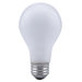 A19 60 Watt Incandescent Bulb in Inside Frost