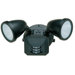 Ariel  Outdoor Motion Detector and Photo Cell Spotlight with Frosted Glass