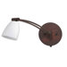 Tinaja Swing Arm Wall Sconce