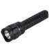 Triple Duty Lanyard Tactical Flashlight