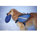 Extreme Dog Backpack in Blue and Gray