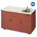 Silver Advantage Single Bowl Portable Sink