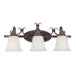 Brandywine  Vanity Light in New Tortoise Shell