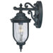 Castlemain Wall Downmounted Lantern in Black/Gold