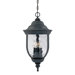 Castlemain Outdoor Hanging Lantern in Black/Gold