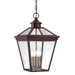 Ellijay 4 Light Outdoor Hanging Lantern in English Bronze