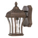 Realto  Outdoor Wall Lantern in Walnut Patina