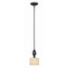 Carmel 1 Light Mini Pendant