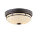 2 Light Flush Mount
