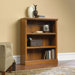 Three Shelf Bookcase