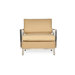 Elements Lounge Chair with Cushion