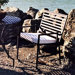 Folding Dining Arm Chair with Cushion