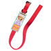 Aspen Pets Nylon Dog Collar in Red