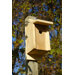 Eastern Blue Bird Bird House
