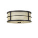 Fusion 4.5" 2 Light Flush Mount