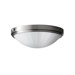 Perry 2 Light Indoor Flush Mount