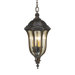 Baton Rouge Four Light Outdoor Hanging Lantern in Walnut