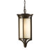 Merrill  Outdoor Hanging Lantern in Heritage Bronze