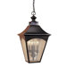 Homestead Hanging Outdoor Lantern in Oil Rubbed Bronze