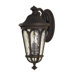 Regent Court Two Light Outdoor Wall Lantern in Walnut
