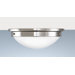 Botanical 2 Light Flush Mount